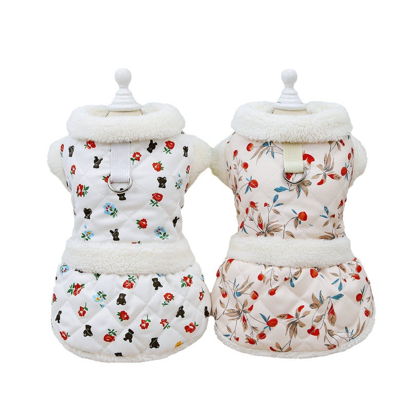 Keep Your Feline Fashionable and Cozy This Autumn and Winter