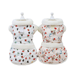 Keep Your Feline Fashionable and Cozy This Autumn and Winter