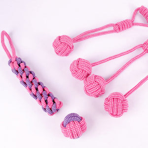 Unleash the Fun with the Teddy Golden Dog Toy