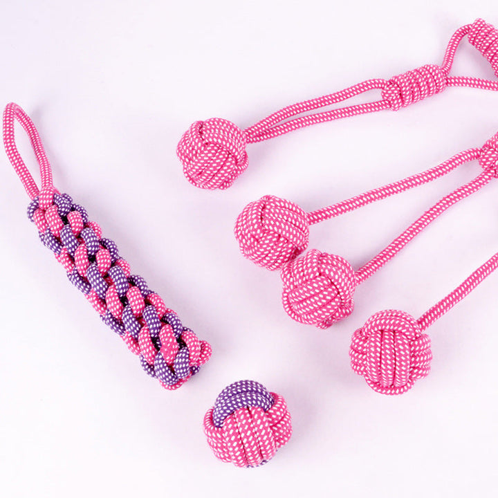 Unleash the Fun with the Teddy Golden Dog Toy