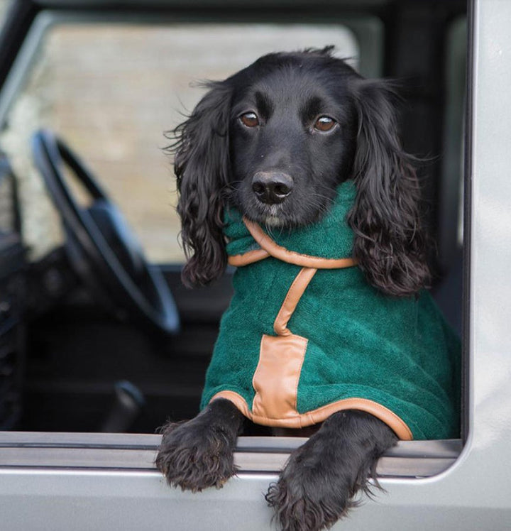 Keep Your Pet Dry and Happy with Our Quick-Drying Towel
