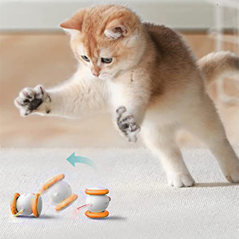 Unleash Your Cat's Playful Spirit with Our Electric Intelligent Teasing Cat Charging Toys