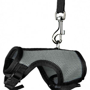 The Perfect Small Pet Leash for Your Furry Friends