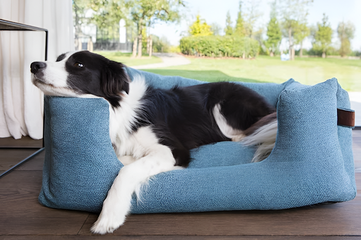 Choosing the Perfect Bed for Your Dog