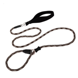 The Ultimate Fashion Simple Pet Dog Leash