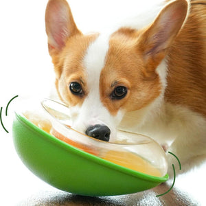 Elevate Your Pet's Dining Experience with Our Anti-Tumble Avocado Pet Feeding Bowl