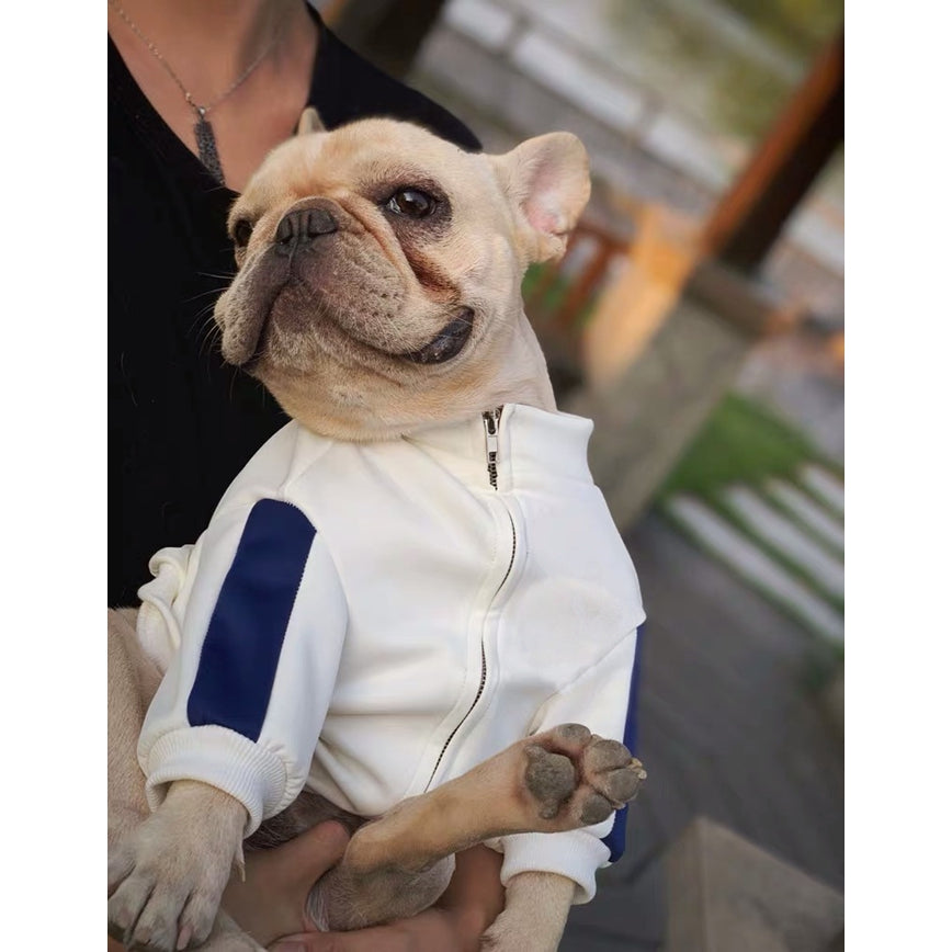 Pet fashion brand cat clothes