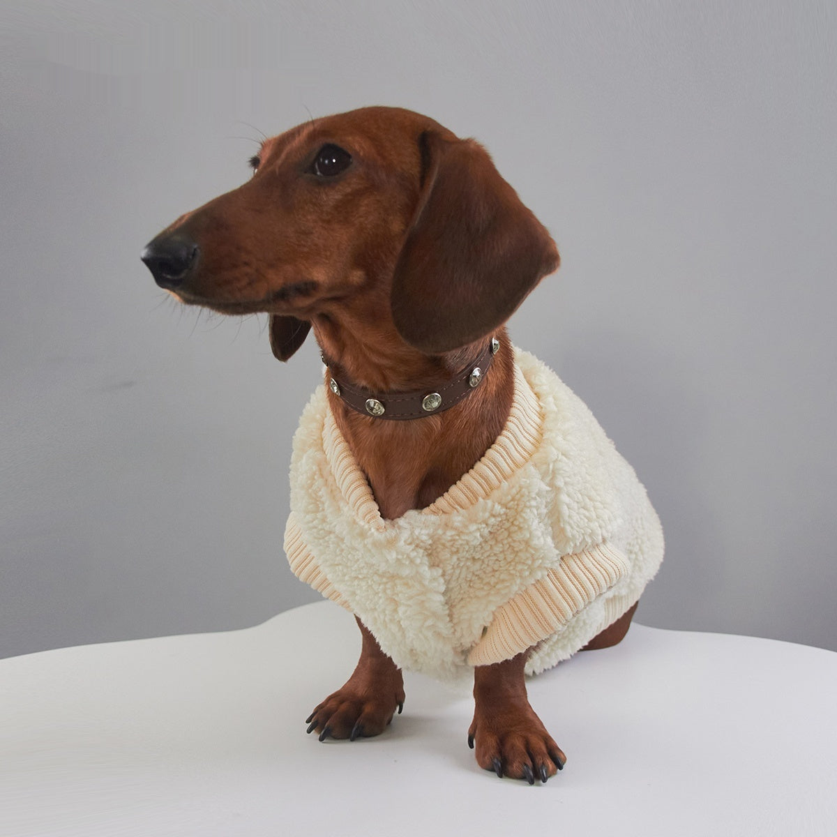 Pet Casual Fashion Apparel