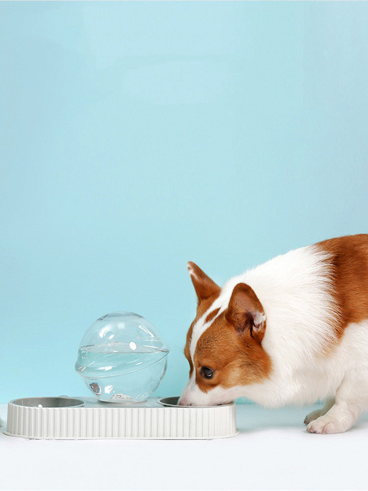 Plastic Pet Feeding Drinkers Cat Automatic Feeder