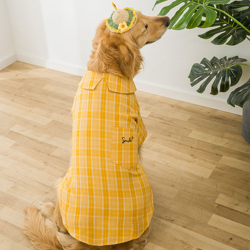 Big Dog Clothes Wear Golden Wool