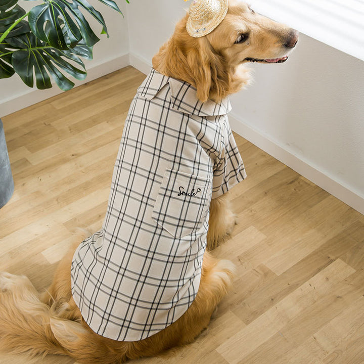 Big Dog Clothes Wear Golden Wool
