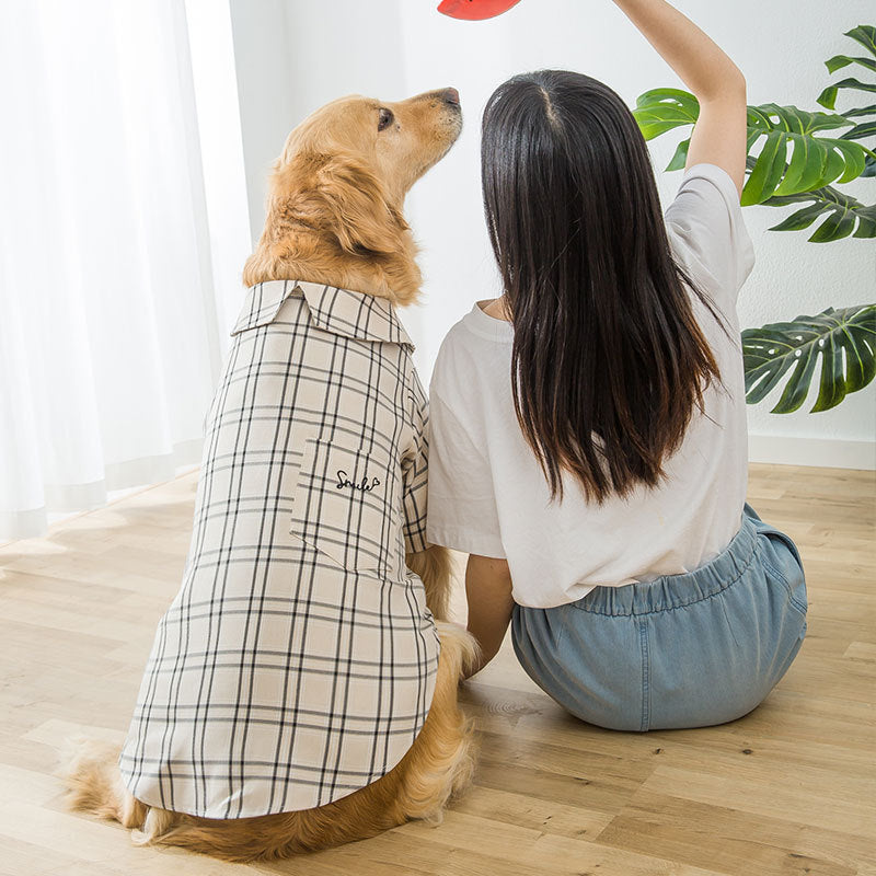 Big Dog Clothes Wear Golden Wool