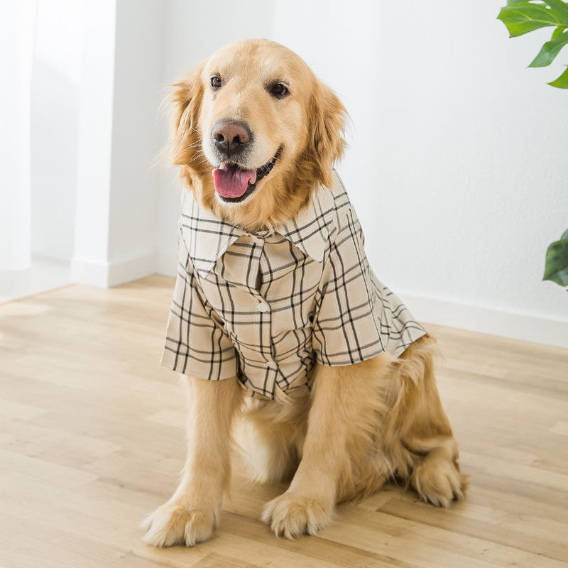 Big Dog Clothes Wear Golden Wool
