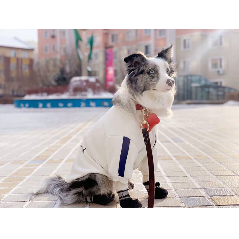 Pet fashion brand cat clothes