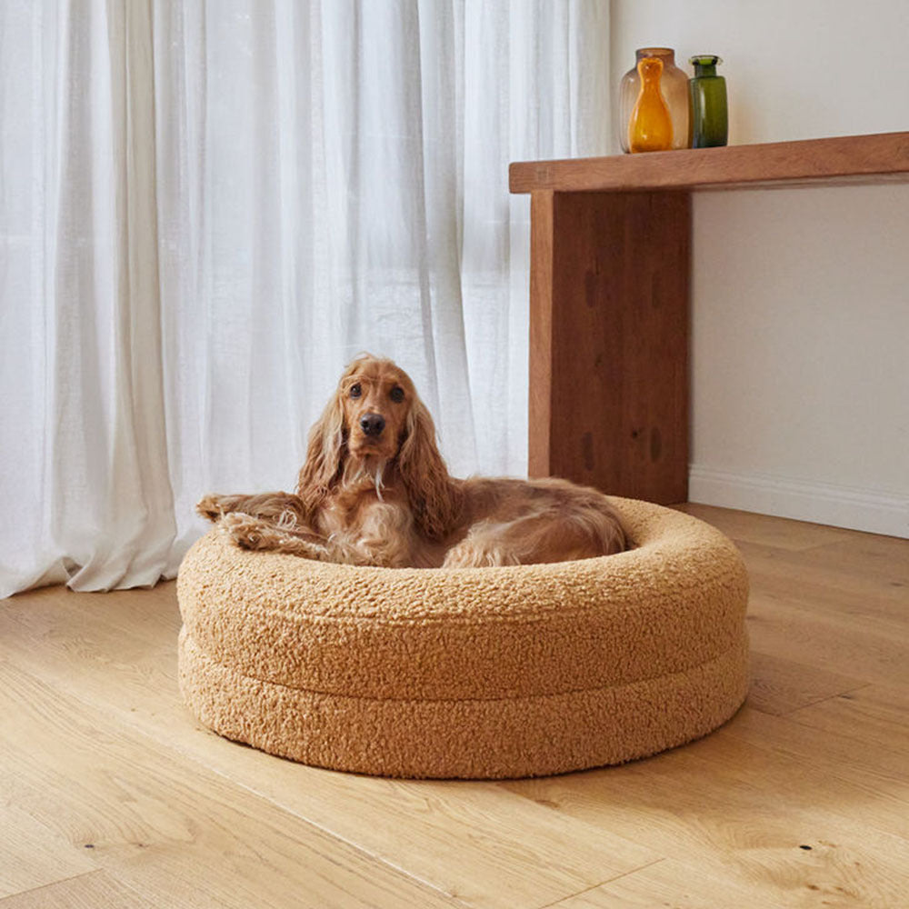 Household Solid Color Leisure Pet