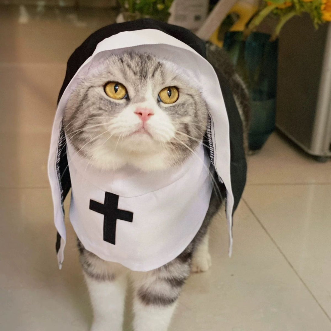 PET SHOW Nun Cat Costume