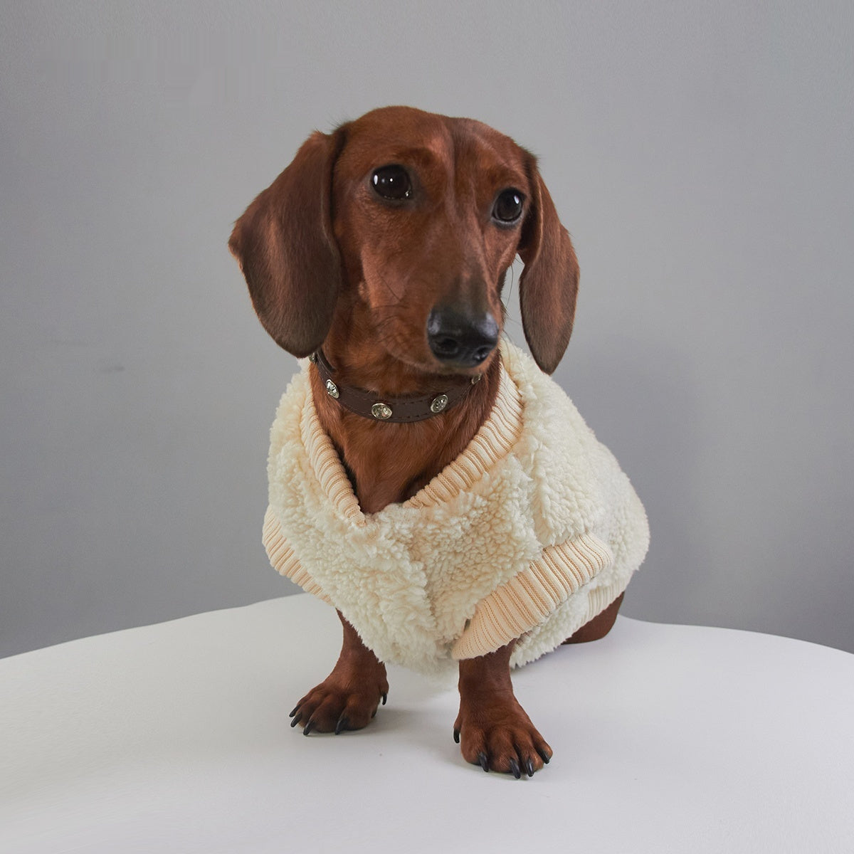Pet Casual Fashion Apparel