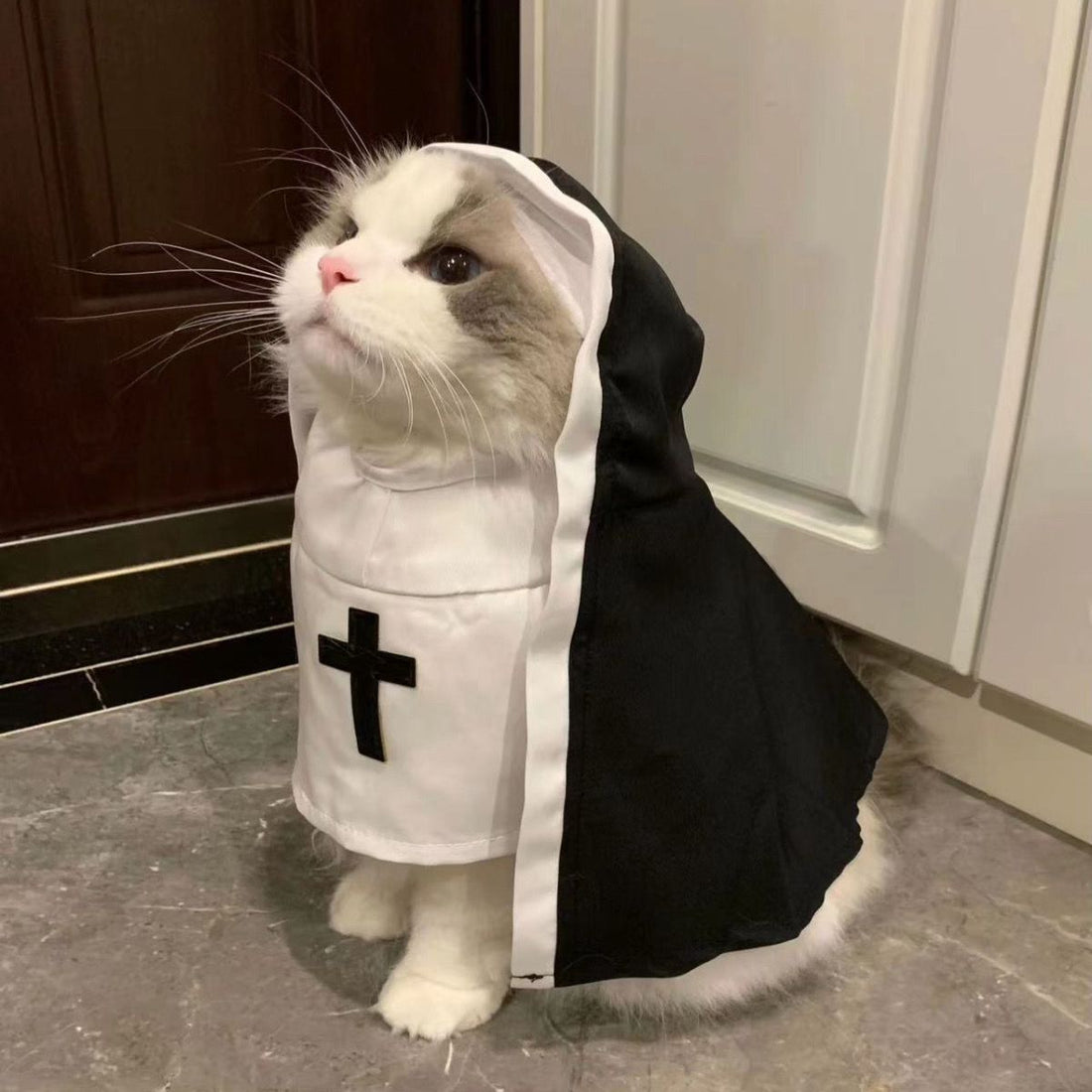 PET SHOW Nun Cat Costume