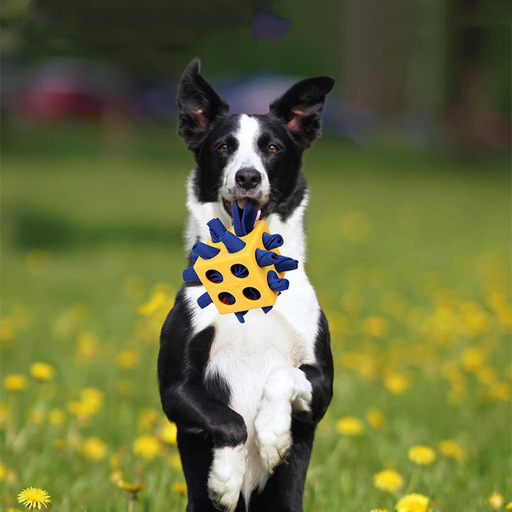 Long Lasting Educational Toys Pet Products