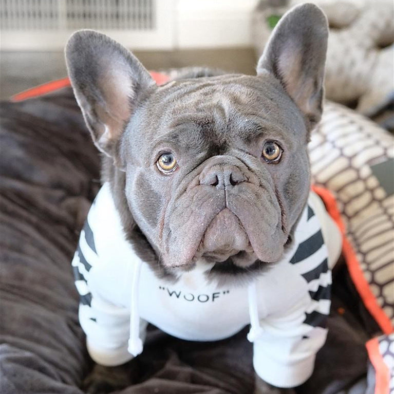 Corgi Schnauzer pet fashion brand three-stripe