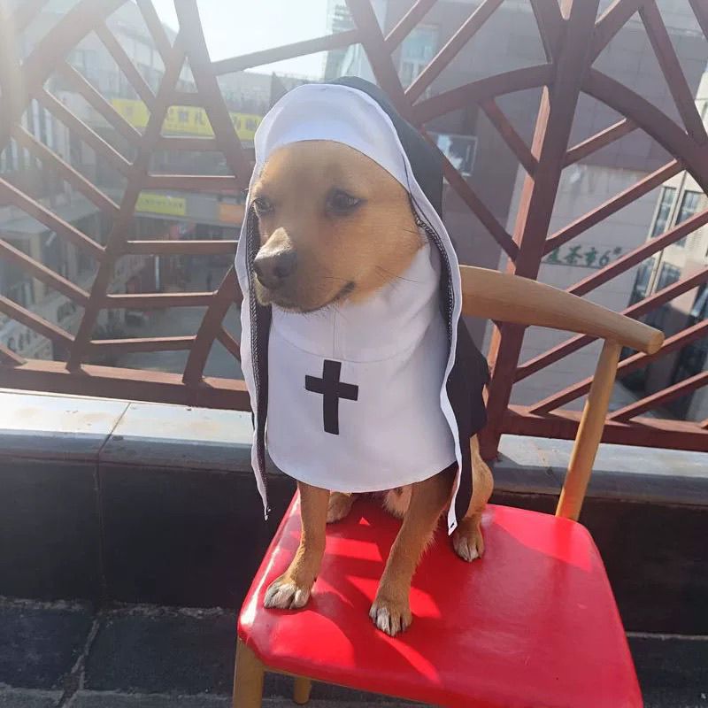 PET SHOW Nun Cat Costume