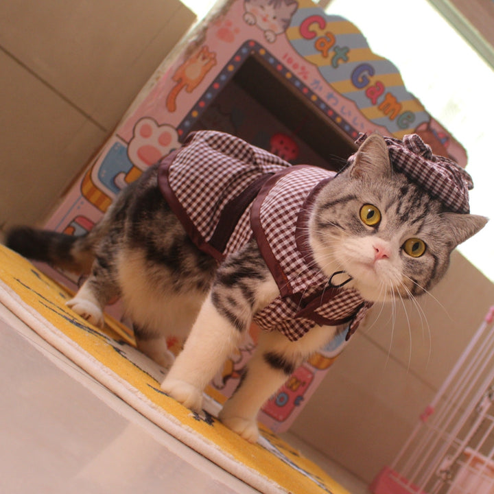 Cloak Hat Suit Funny Cat Dog Clothes