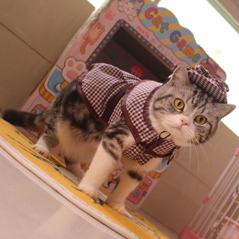 Cloak Hat Suit Funny Cat Dog Clothes