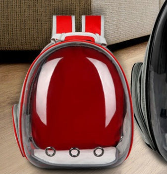 Rear Expandable Transparent Mesh Pet Backpack