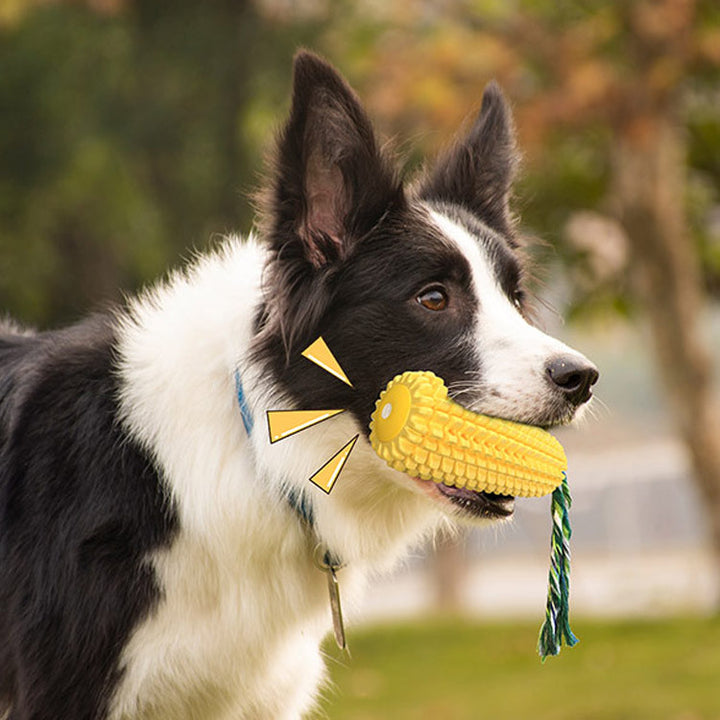 Dog Bite-resistant Vent Sound Toys