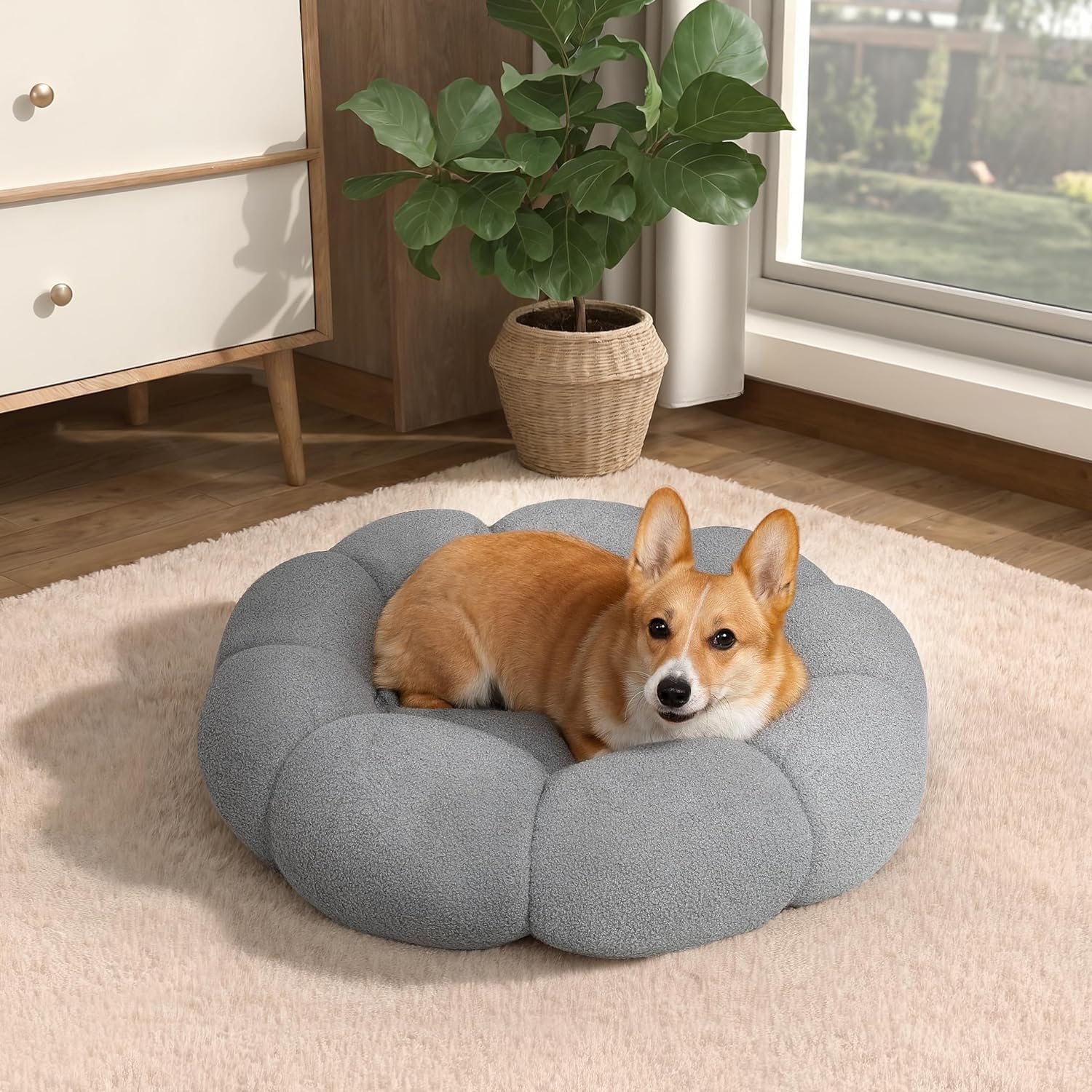 Calming Cat Beds For Indoor Cats Fluffy