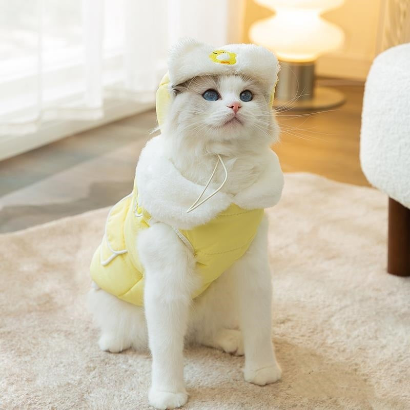 Cat Clothes Autumn And Winter Clothes