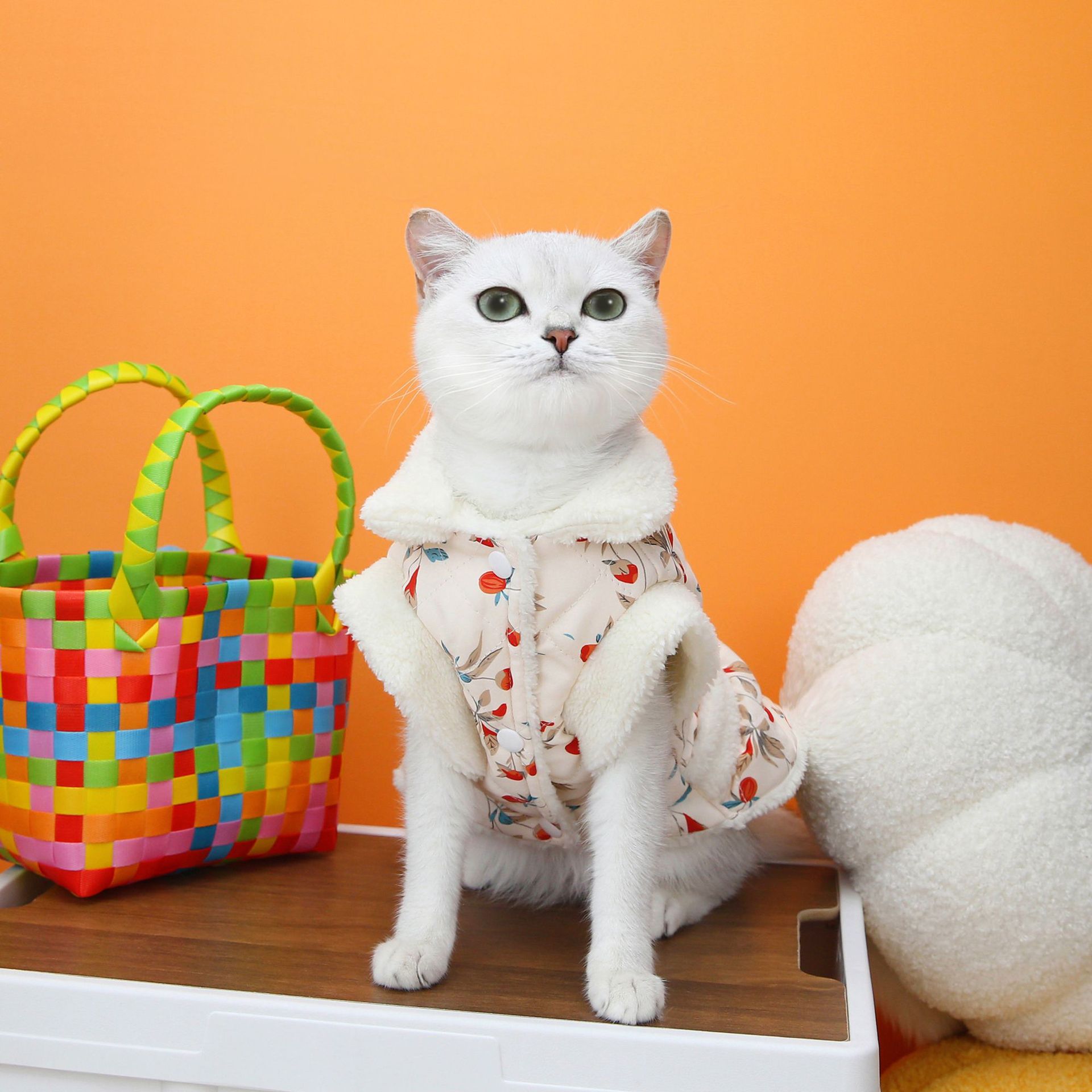 Pet Cat Clothes Autumn And Winter