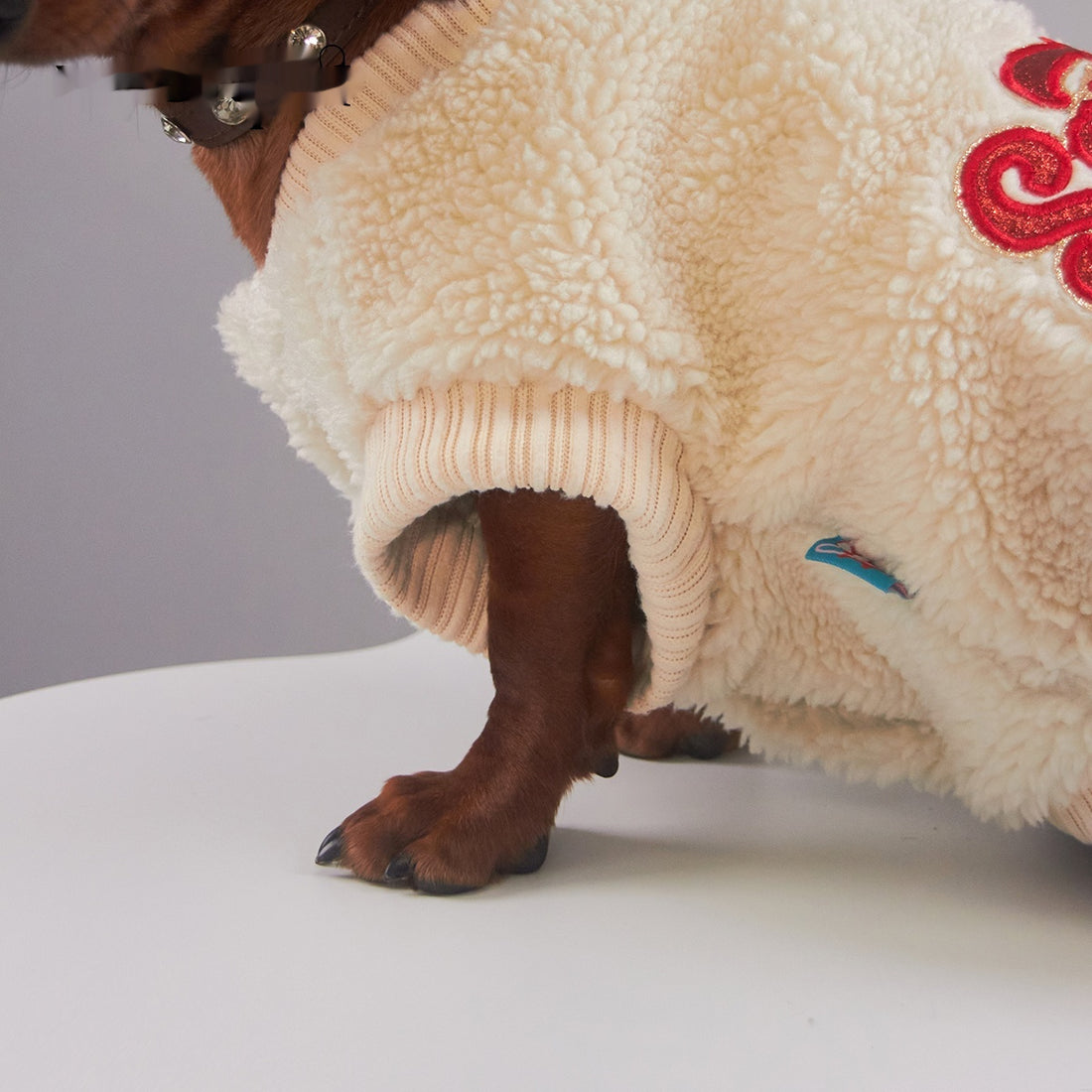 Pet Casual Fashion Apparel