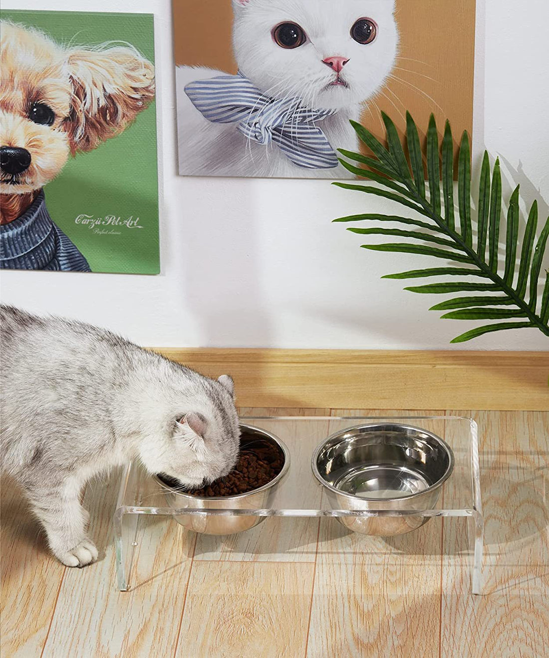 Acrylic Dogs And Cats Pet Feeder Small Cat