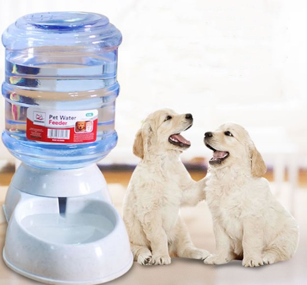 Cats Dogs Automatic Pet Feeder Drinking