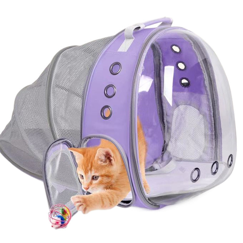 Rear Expandable Transparent Mesh Pet Backpack
