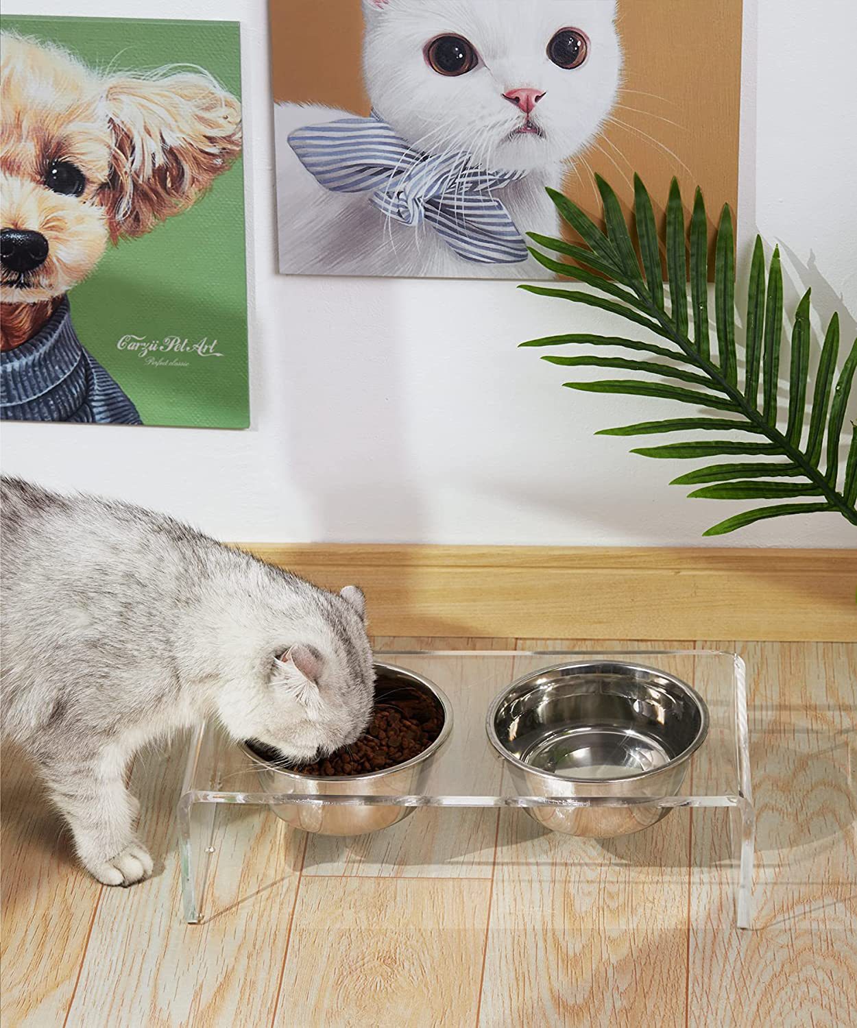 Acrylic Dogs And Cats Pet Feeder Small Cat