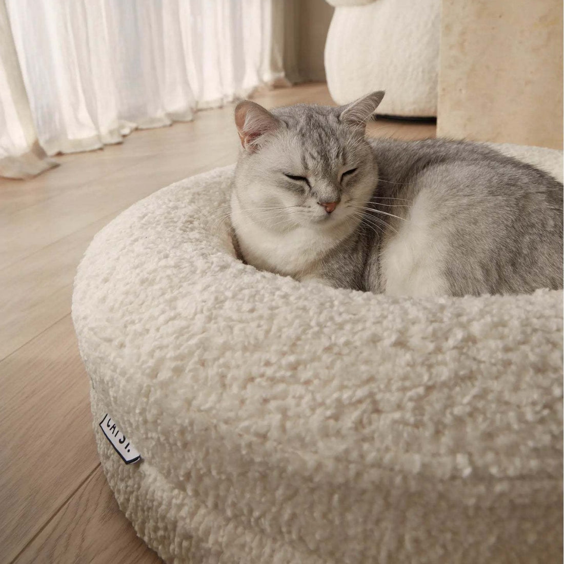 Household Solid Color Leisure Pet