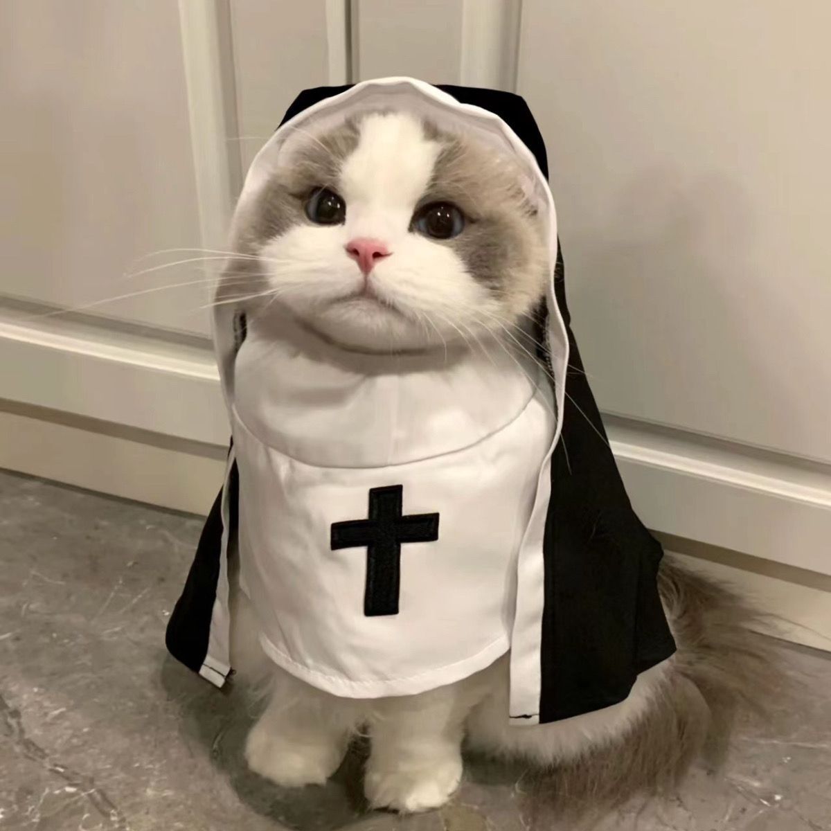 PET SHOW Nun Cat Costume