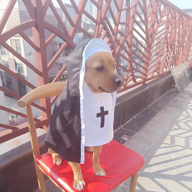 PET SHOW Nun Cat Costume